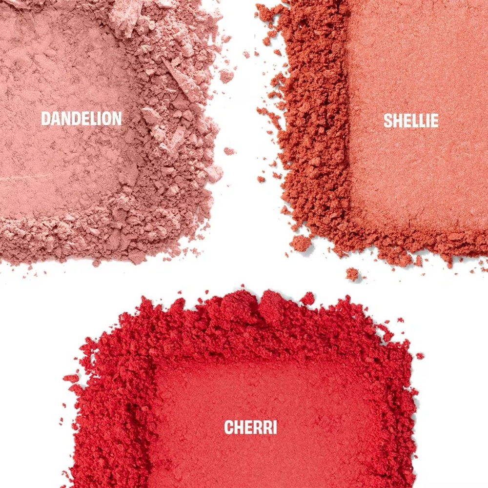 Chocolotta Blush Mini Blush Holiday Palette - Picture 2 of 8